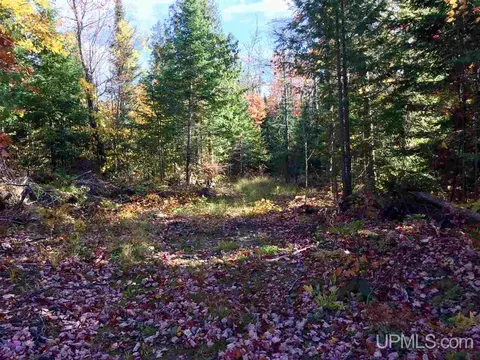 tbd Pole Line, Mohawk, MI 49950 photo 2