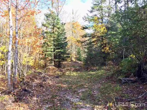 tbd Pole Line, Mohawk, MI 49950 photo 4