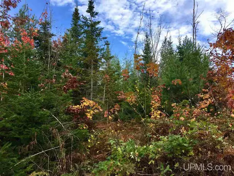 tbd Pole Line, Mohawk, MI 49950 photo 3