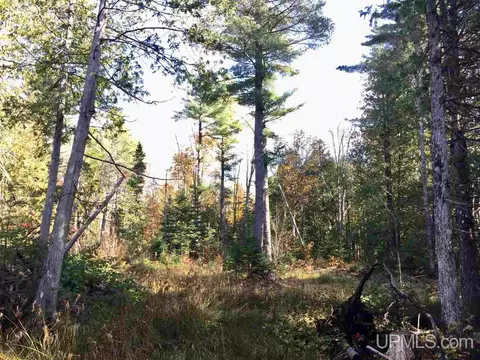 tbd Pole Line, Mohawk, MI 49950 photo 5