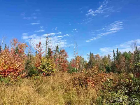 tbd Pole Line, Mohawk, MI 49950 photo 9