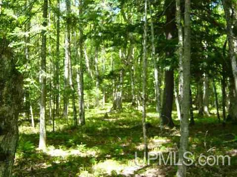 Tbd Heath, L'anse, MI 49946 photo 8