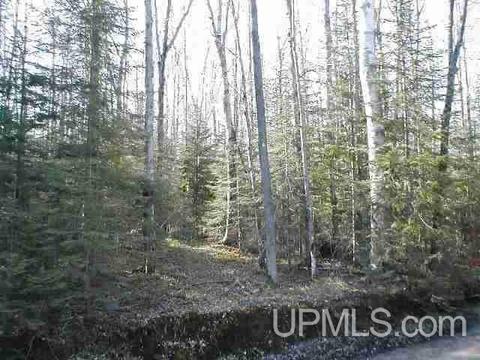 Tbd Heath, L'anse, MI 49946 photo 13