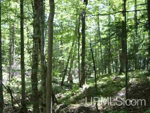 Tbd Heath, L'anse, MI 49946 photo 10
