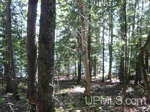 Tbd Heath, L'anse, MI 49946 photo 7