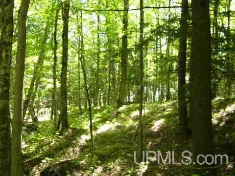 Tbd Heath, L'anse, MI 49946 photo 11