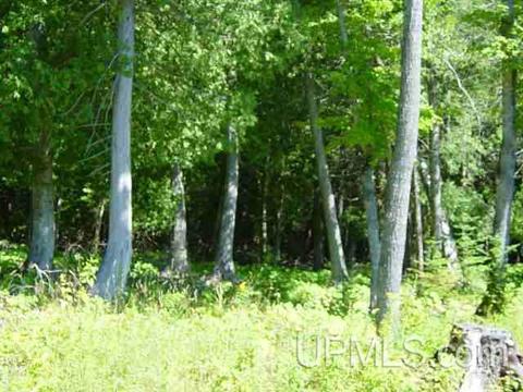 Tbd Heath, L'anse, MI 49946 photo 12