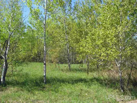 lot G Connors, Munising, MI 49862 photo 5