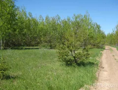 lot G Connors, Munising, MI 49862 photo 2