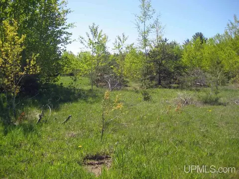 lot G Connors, Munising, MI 49862 photo 3