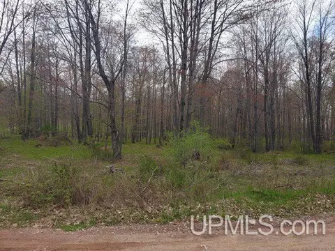 tbd Millie Ests, Iron Mountain, MI 49801 photo 1