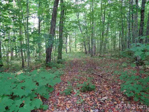 tbd Cliff, Mohawk, MI 49950 photo 8