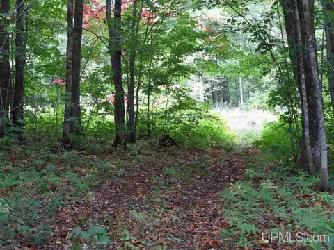 tbd Cliff, Mohawk, MI 49950 photo 12