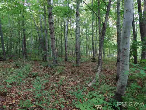 tbd Cliff, Mohawk, MI 49950 photo 10