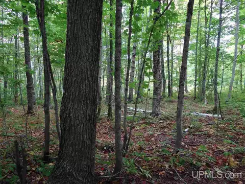 tbd Cliff, Mohawk, MI 49950 photo 9