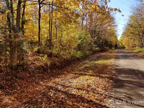 tbd Rydeski, Wakefield, MI 49968 photo 3