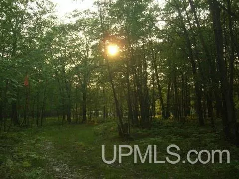 320 N N Blf, Gladstone, MI 49837 photo 2
