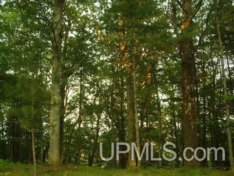 320 N N Blf, Gladstone, MI 49837 photo 4