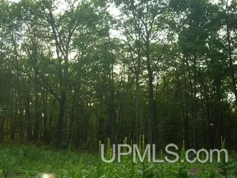 320 N N Blf, Gladstone, MI 49837 photo 9