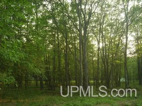 320 N N Blf, Gladstone, MI 49837 photo 8