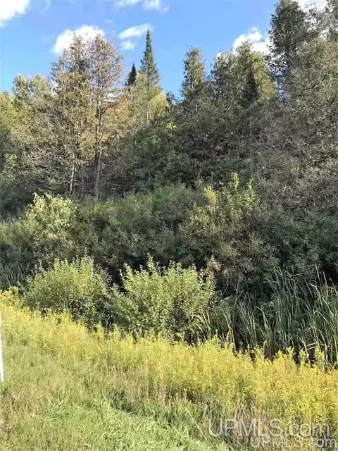 tbd Us2 41, Bark River, MI 49807 photo 1