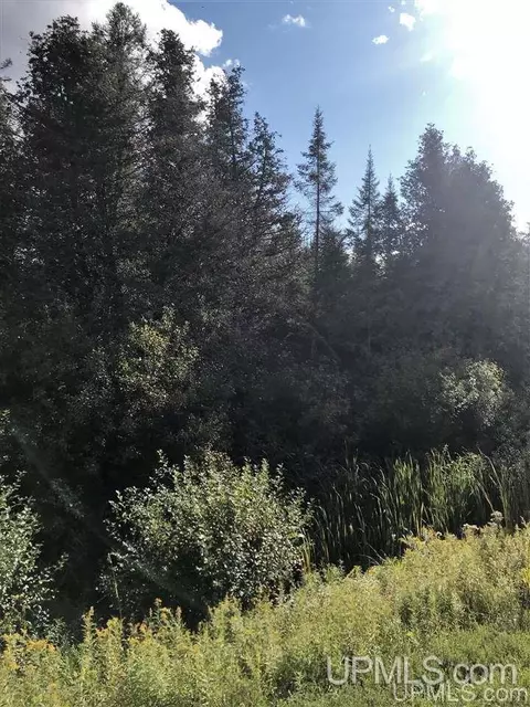 tbd Us2 41, Bark River, MI 49807 photo 3