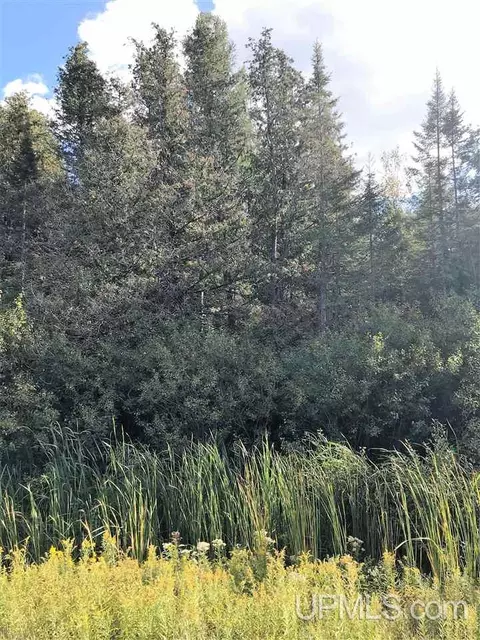 tbd Us2 41, Bark River, MI 49807 photo 2