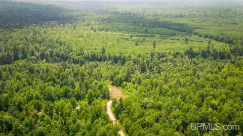 Tbd Bear Creek, Pelkie, MI 49958