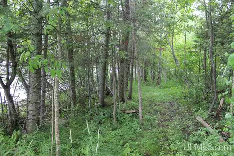 tbd Zellar, Curtis, MI 49820 photo 8
