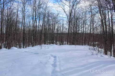 tbd Woodside, Dollar Bay, MI 49922 photo 41