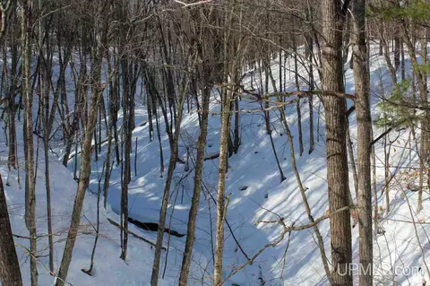 tbd Woodside, Dollar Bay, MI 49922 photo 33