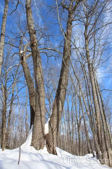tbd Woodside, Dollar Bay, MI 49922 photo 36