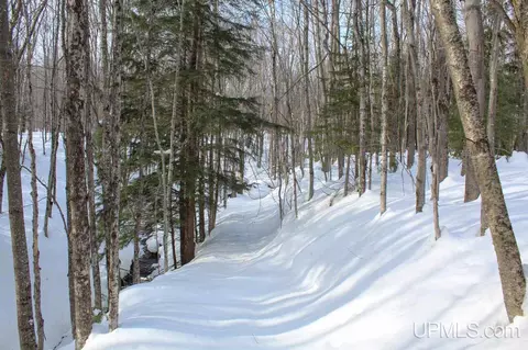 tbd Woodside, Dollar Bay, MI 49922 photo 49