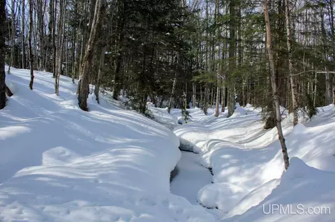 tbd Woodside, Dollar Bay, MI 49922 photo 31
