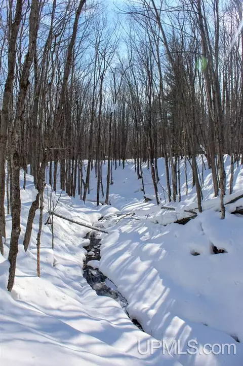 tbd Woodside, Dollar Bay, MI 49922 photo 32