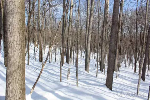 tbd Woodside, Dollar Bay, MI 49922 photo 35