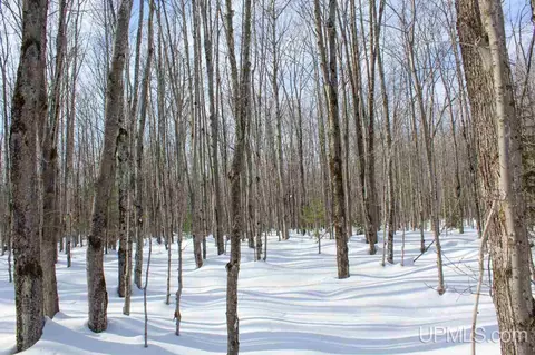 tbd Woodside, Dollar Bay, MI 49922 photo 46