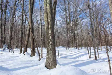 tbd Woodside, Dollar Bay, MI 49922 photo 37