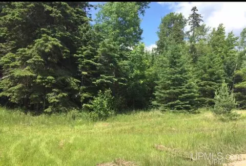 tbd Juniper Aa, Rapid River, MI 49878 photo 3