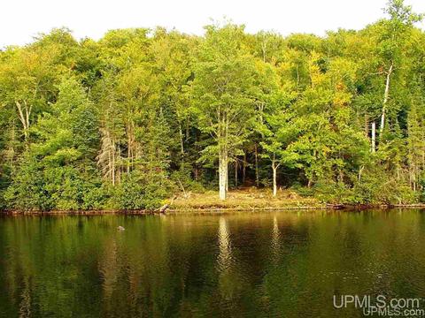 Tbd Homan Lake, Iron River, MI 49935