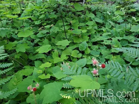 11279 M26, Mohawk, MI 49950 photo 14