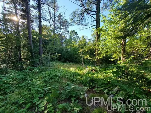 11279 M26, Mohawk, MI 49950 photo 5