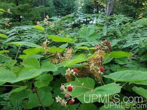 11279 M26, Mohawk, MI 49950 photo 15