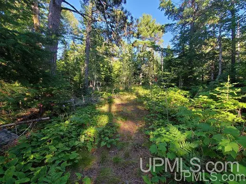 11279 M26, Mohawk, MI 49950 photo 13