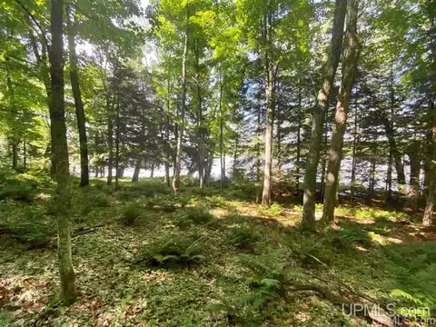 tbd Erickson, Iron River, MI 49935 photo 2