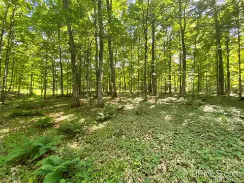 tbd Erickson, Iron River, MI 49935 photo 3