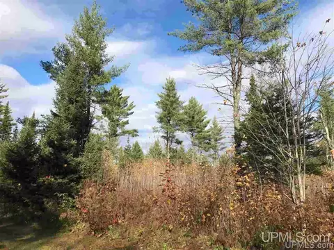 6340 Harding, Florence T-wi, WI 54121 photo 4