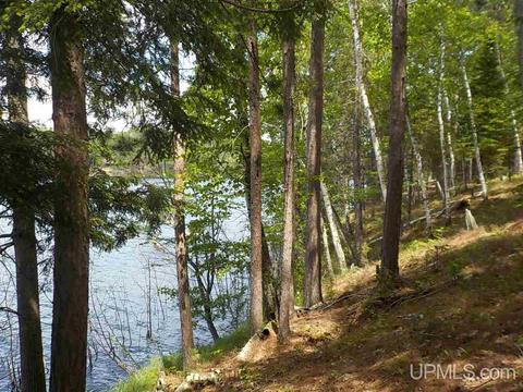 1 82ac Long Lk, Crystal Falls, MI 49920