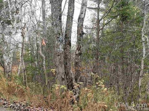 Tbd Co Rd 426, Ralph, MI 49877 photo 3