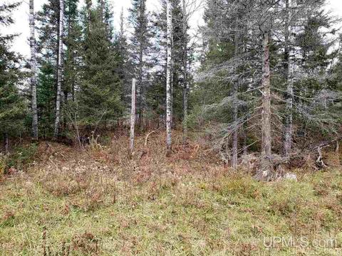 Tbd Co Rd 426, Ralph, MI 49877 photo 2